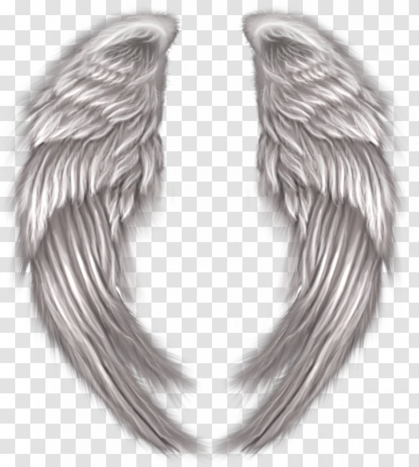 Clip Art - Silver - Angel Wings Transparent PNG