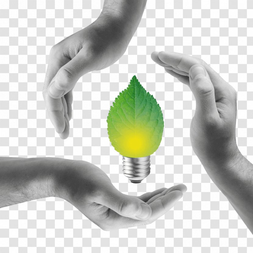 Electricity Renewable Energy Development Business - Thumb Transparent PNG