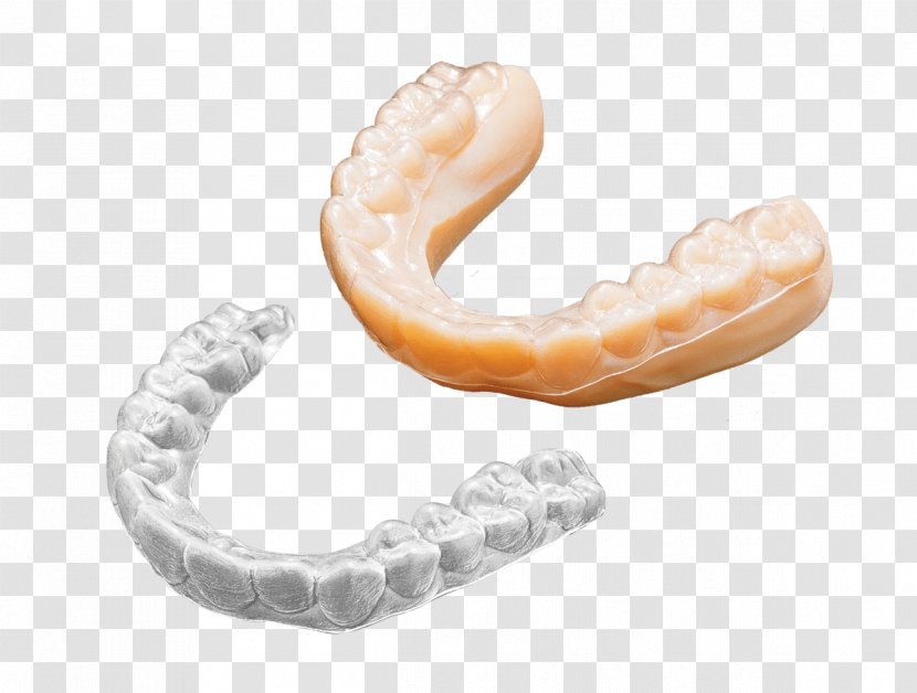 Jaw Human Tooth Bergamo Accessori Srl Dentistry - Prototype - Clear Aligners Transparent PNG