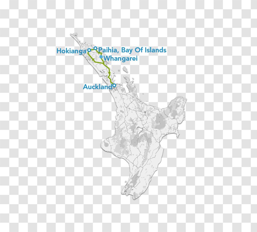 Organism Map Tuberculosis - Island Of Adventure Transparent PNG