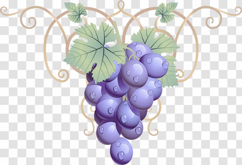 Grape Leaves Grapevine Family Vitis Plant - Purple - Fruit Leaf Transparent PNG