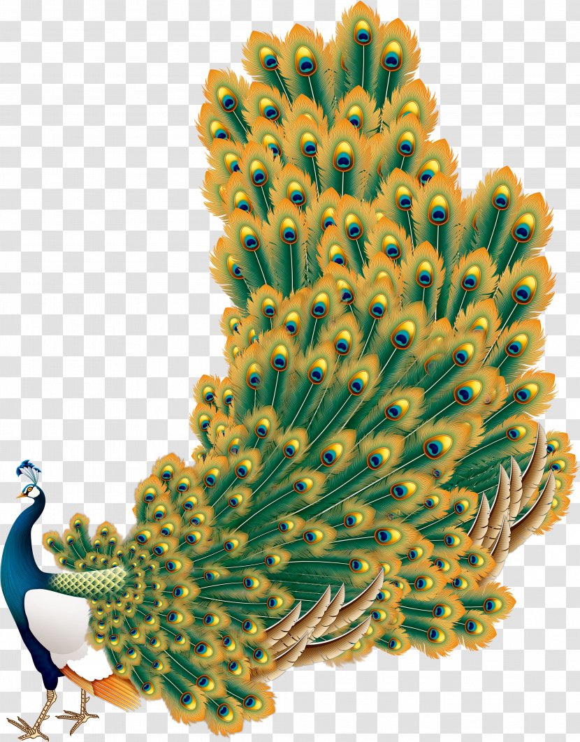 Peafowl - Prickly Pear - Peacock Transparent PNG