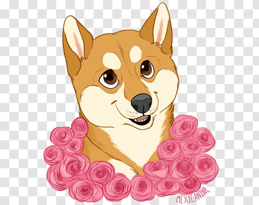 Shiba Inu Puppy Dog Breed Red Fox Whiskers - Group Transparent PNG