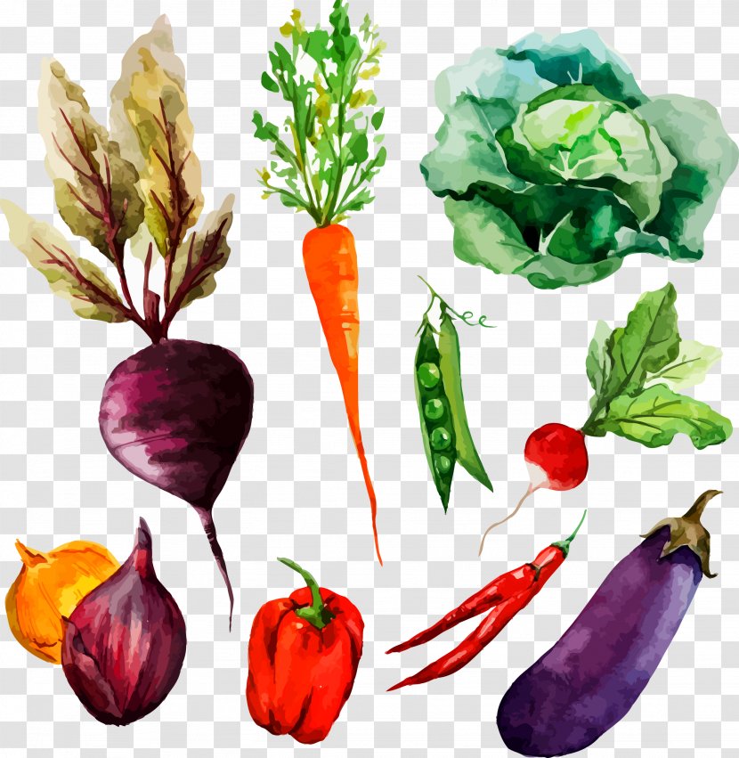 Watercolor Painting Vegetable Drawing Illustration - Diet Food - Hand-painted Transparent PNG