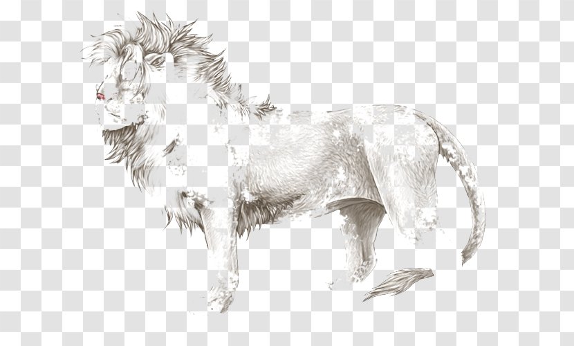 Lion Dog Breed Bald Eagle Cat Mane Transparent PNG