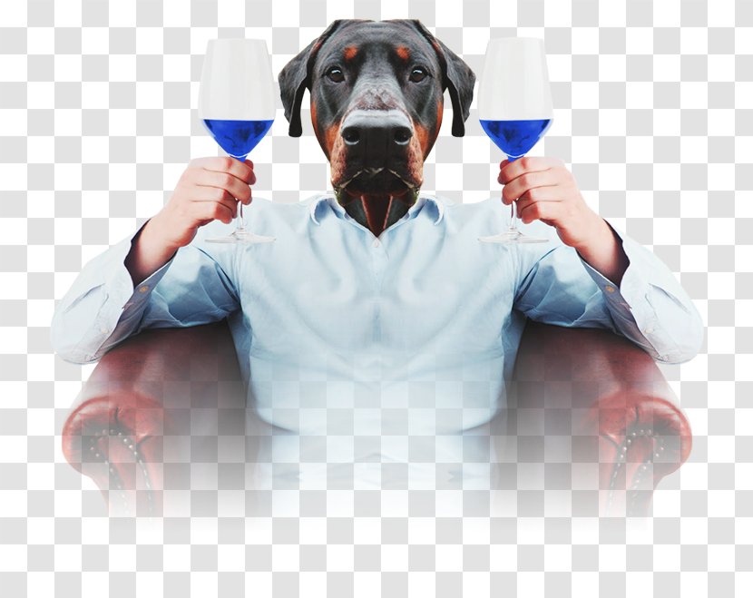 Wine Distilled Beverage Beer Drink Rye Whiskey - Puppy Transparent PNG