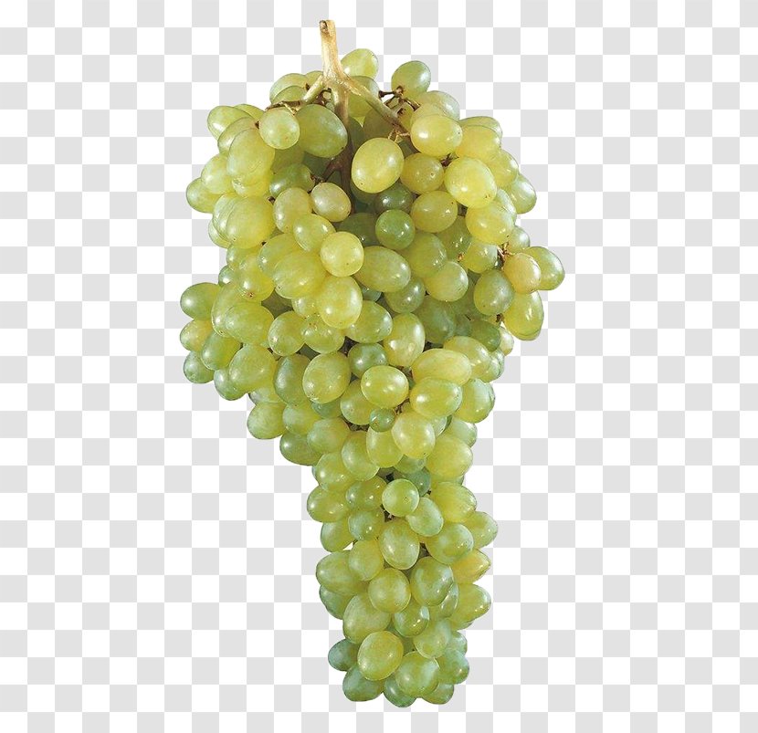 Vector Kyoho Grape Fruit - Sultana - A Bunch Of Grapes Transparent PNG
