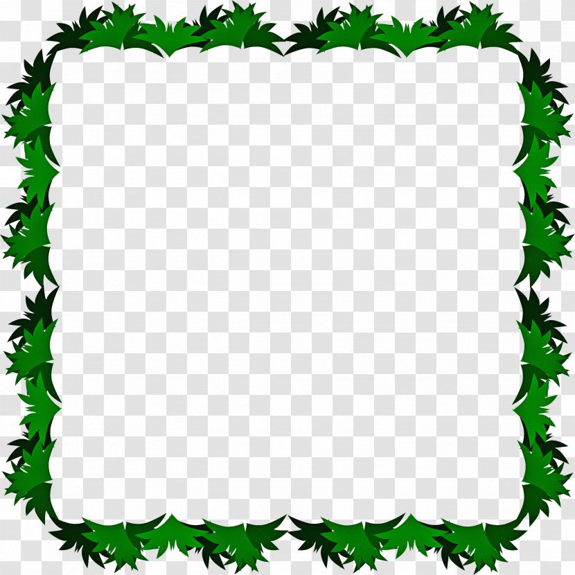 Leaf Drawing - Special Education - Rectangle Plant Transparent PNG
