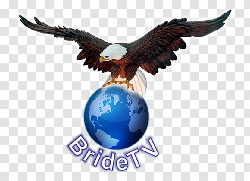 Weigelstown Bald Eagle Television Machine Power Take-off - Takeoff - Independent Politician Transparent PNG