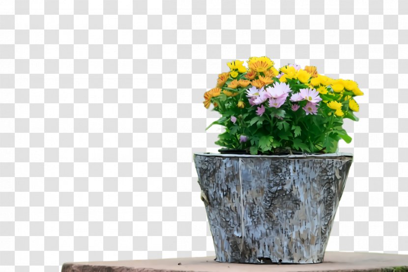 Flowerpot Houseplant Flower Plant Yellow - Vase - Bouquet Cut Flowers Transparent PNG