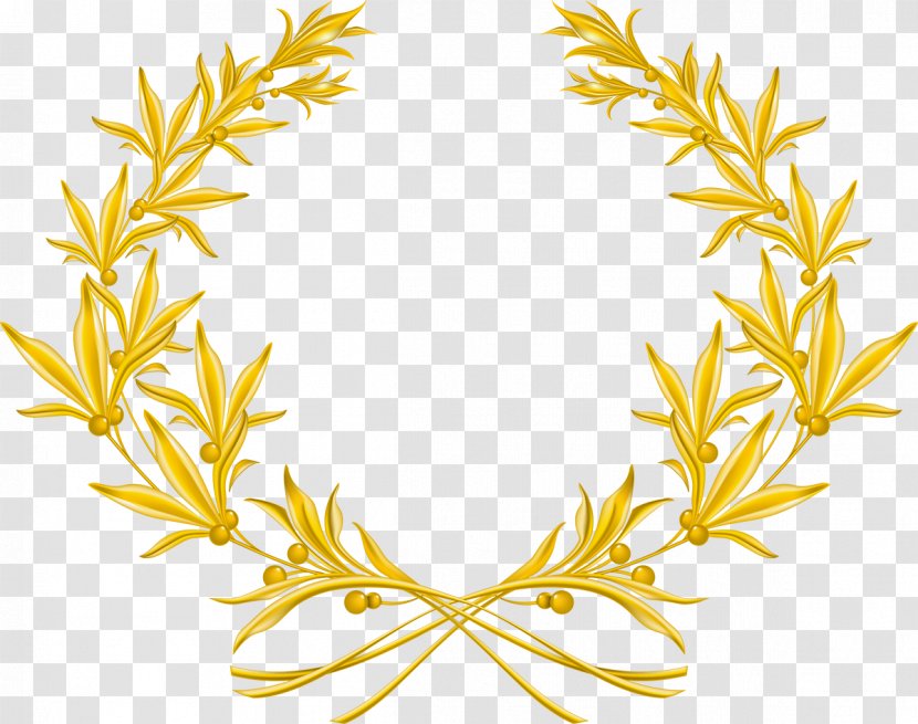 Laurel Wreath Olive Gold Clip Art Transparent PNG