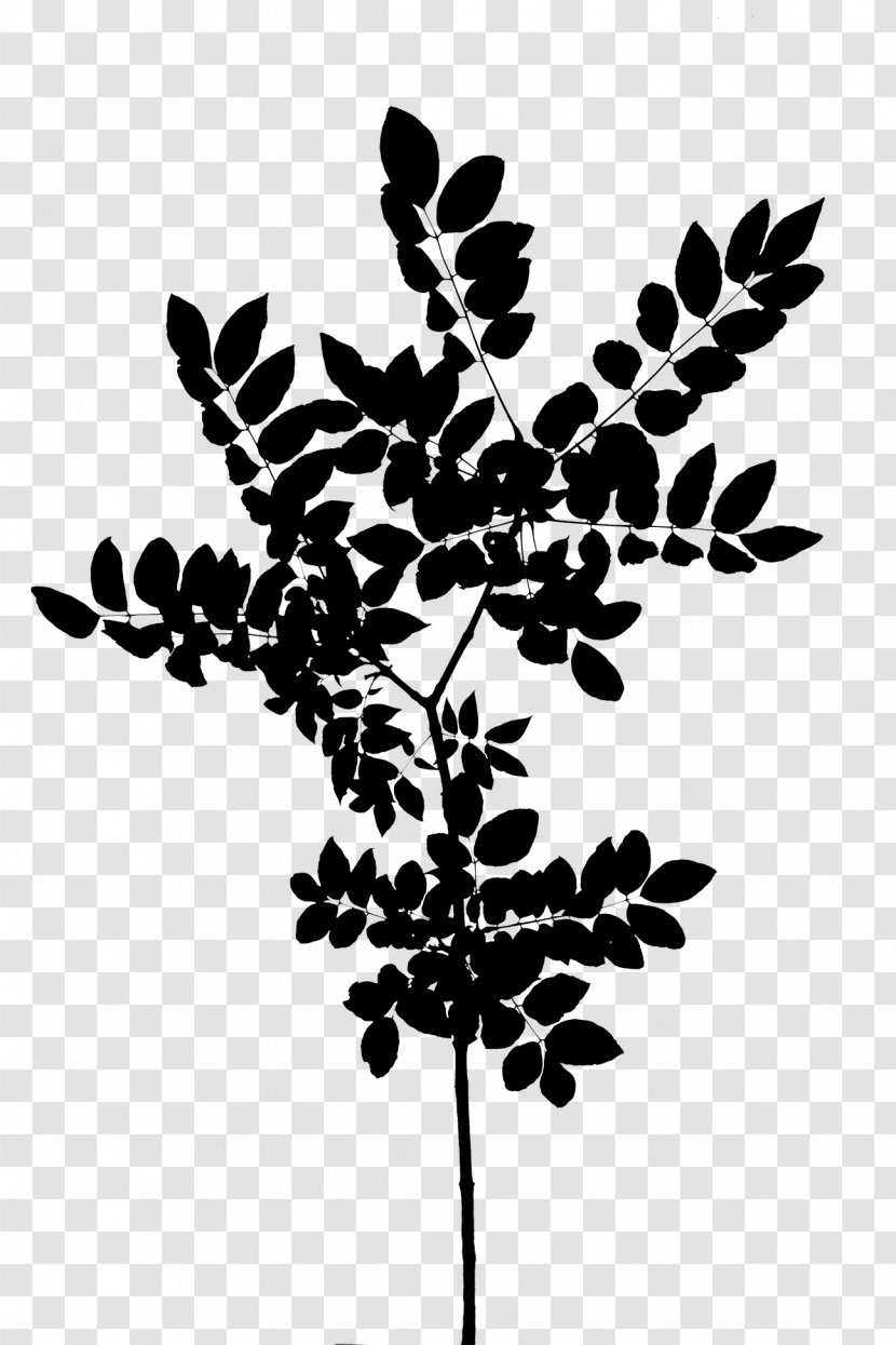 Twig Plant Stem Leaf Font Silhouette - Tree Transparent PNG