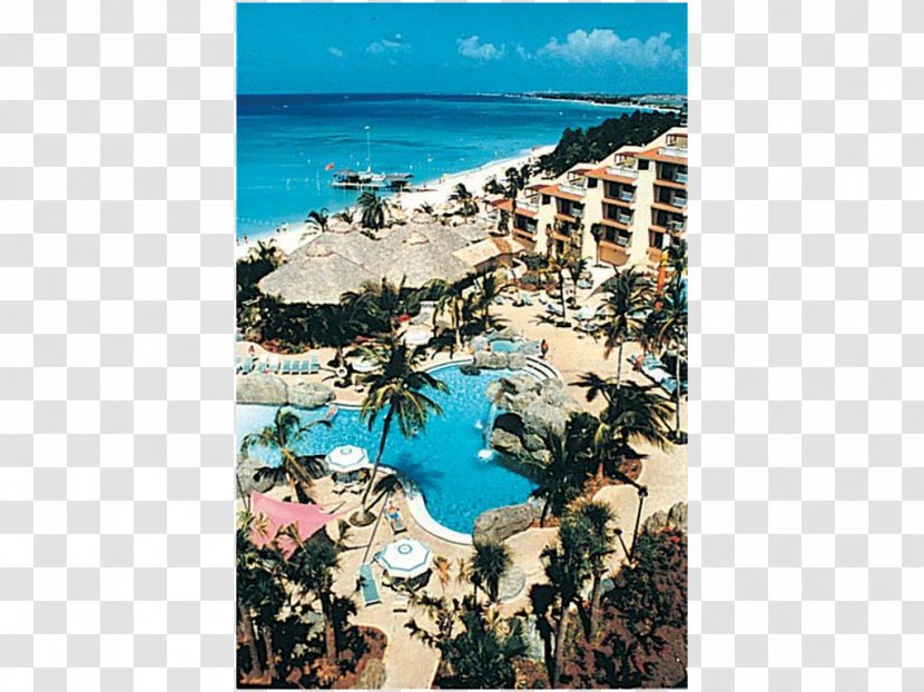 Shore Caribbean Vacation Beach Leisure - Resort Transparent PNG