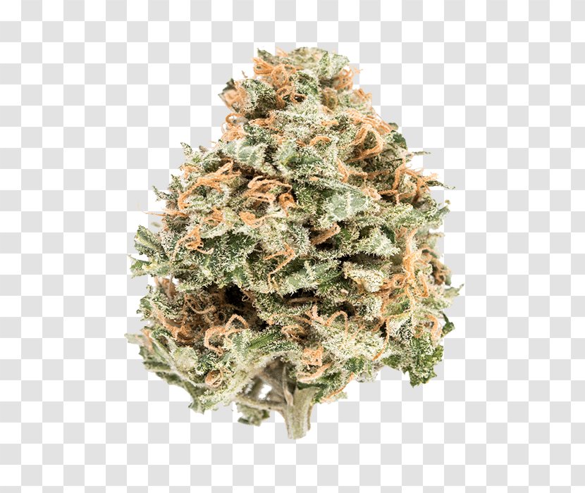 Sour Diesel Cannabis Kootenay National Park Information Product - Orthostatic Hypotension - Hemp Transparent PNG