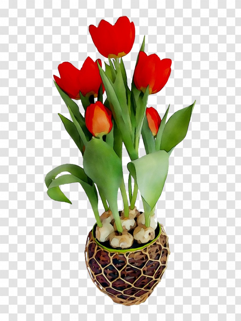 Tulip Floral Design Cut Flowers Flower Bouquet - Plant Transparent PNG