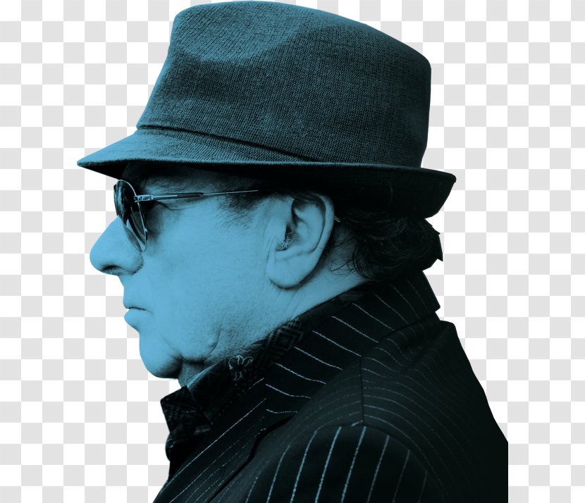 The Best Of Van Morrison Greatest Hits Song - Tree - Flower Transparent PNG