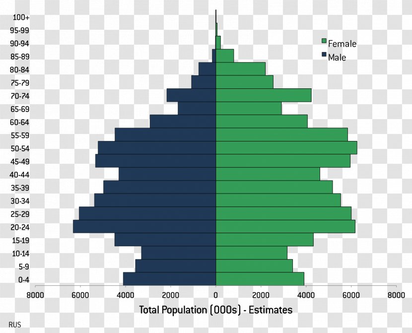 Population Pyramid Literacy Demography Total Fertility Rate - Russia Transparent PNG