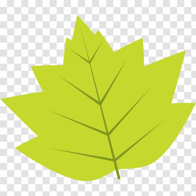Autumn Leaf Drawing - Color - Plane Woody Plant Transparent PNG