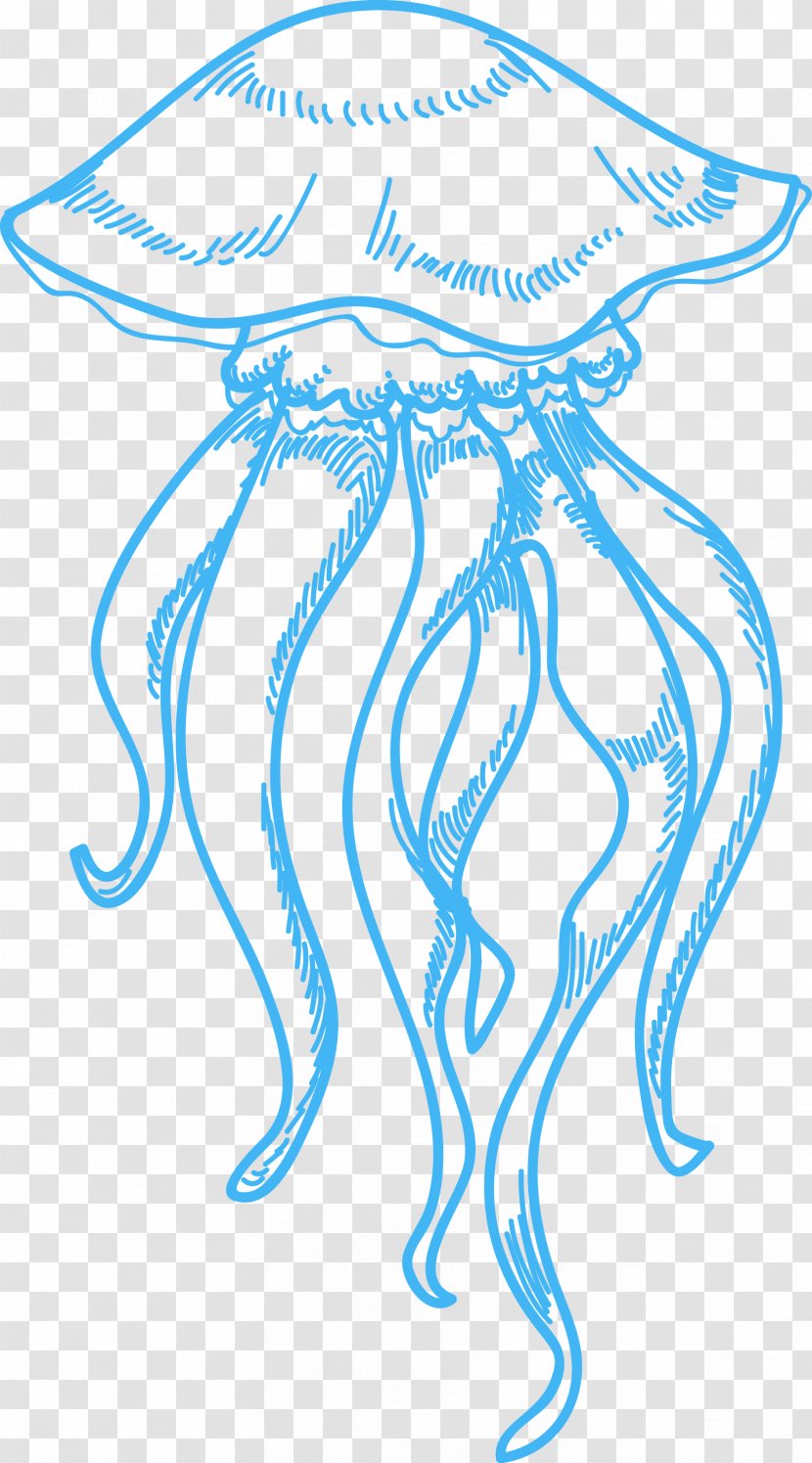 Jellyfish Drawing Sea Clip Art - Line Transparent PNG