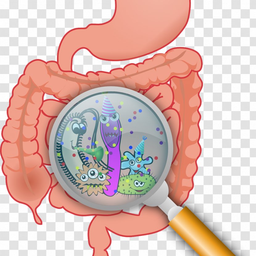 Gastrointestinal Tract Gut Flora Irritable Bowel Syndrome Large Intestine Leaky - Heart - Bacteria Transparent PNG