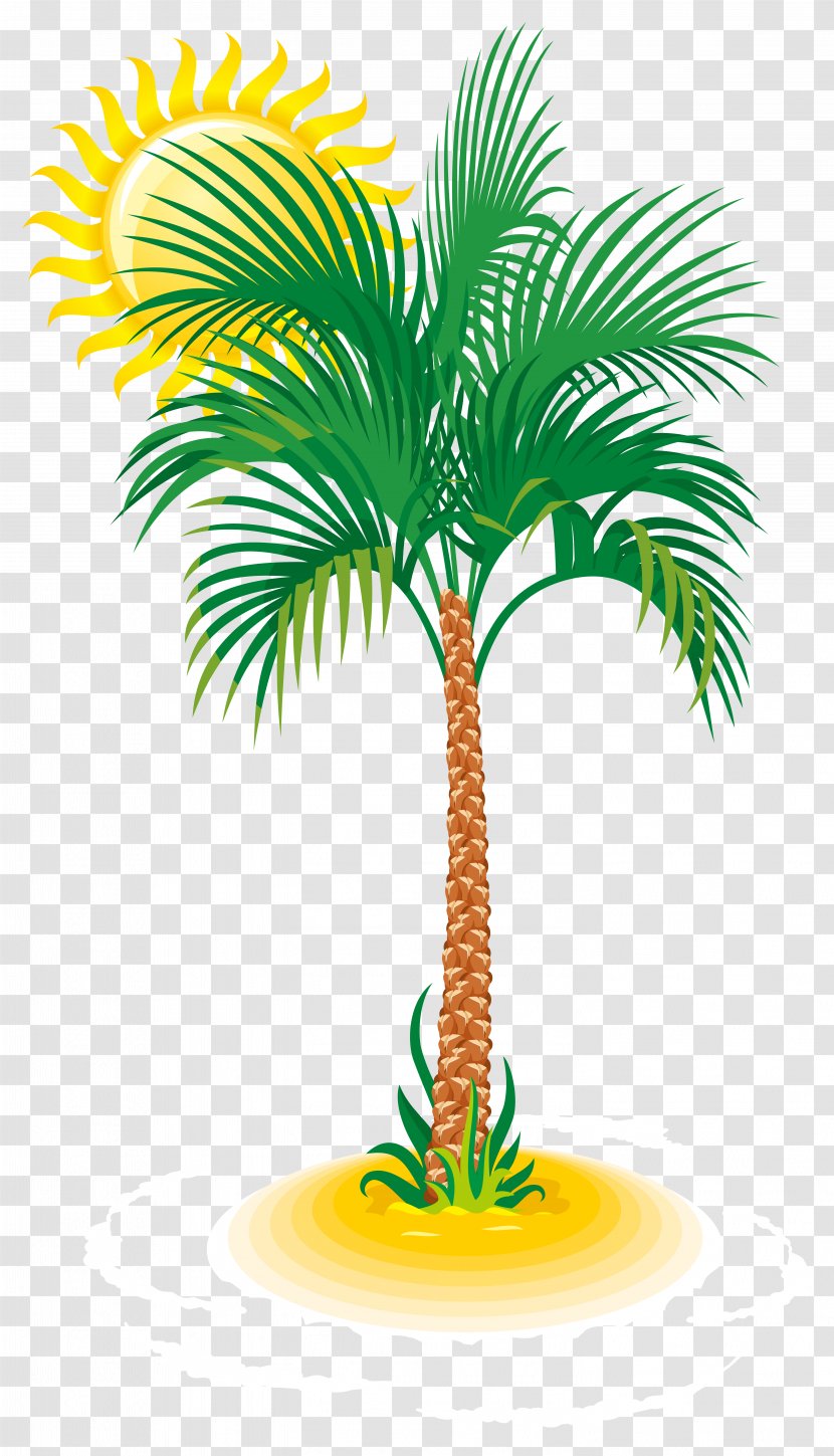 Arecaceae Tree Clip Art - Date Palm - And Sun Image Transparent PNG