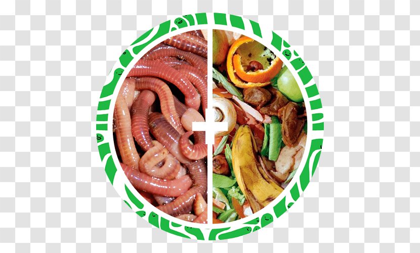 Thuringian Sausage Vermicompost Bratwurst Humus Breakfast - Eisenia Fetida Transparent PNG