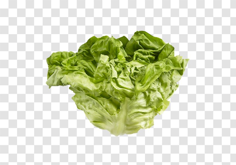 Romaine Lettuce Cabbages Glucosinolate Spring Greens Kale - Choy Sum Transparent PNG
