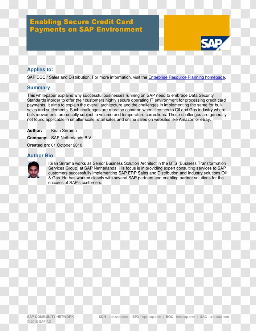 Document SAP SE NetWeaver Business Warehouse ABAP Intelligence - Text - Data Transparent PNG