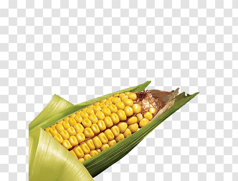 Corn On The Cob SmartStax Maize Field Kernel - Fruit Transparent PNG