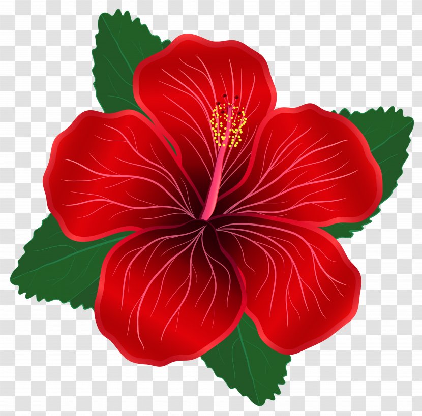 Flower Red Clip Art - Green - Clipart Image Transparent PNG