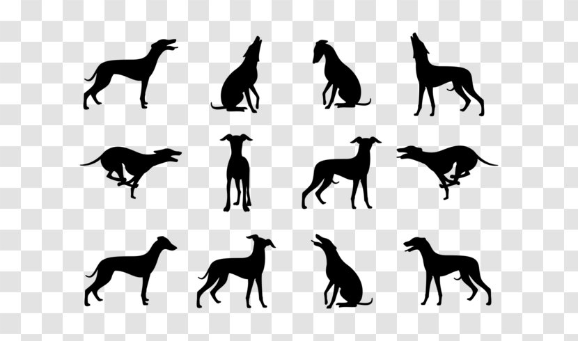 Whippet Greyhound Dobermann Great Dane Cane Corso - Fauna Transparent PNG