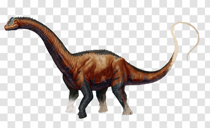 ARK: Survival Evolved Brontosaurus Compsognathus Stegosaurus Dinosaur - Pachycephalosaurus Transparent PNG