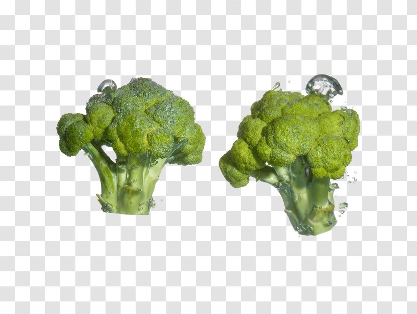 Broccoli Cauliflower Cabbage Food Vegetable - Leaf - Free Stock Photos Pull Transparent PNG