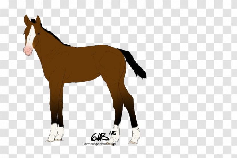 Mustang Foal Colt Stallion Mare - Horse Tack Transparent PNG