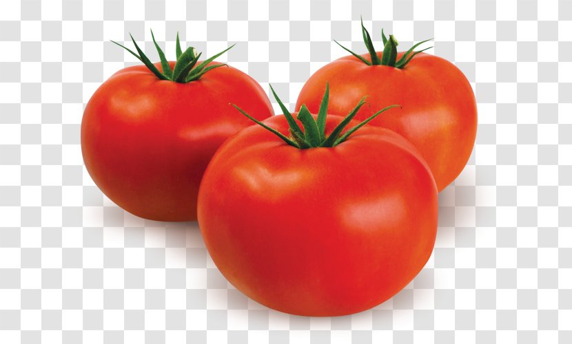 Plum Tomato Bush Vegetarian Cuisine Food - Solanales Transparent PNG