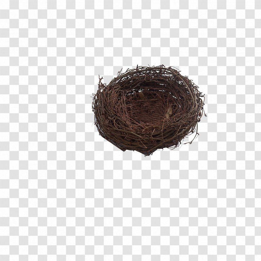 Bird Nest Paper Chicken Tree - Wooden Transparent PNG