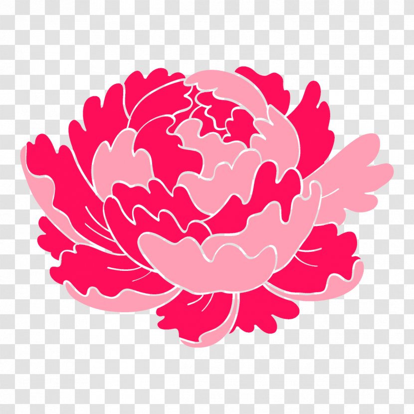 Pink Flower Plant Petal Peony - Protea Family Transparent PNG