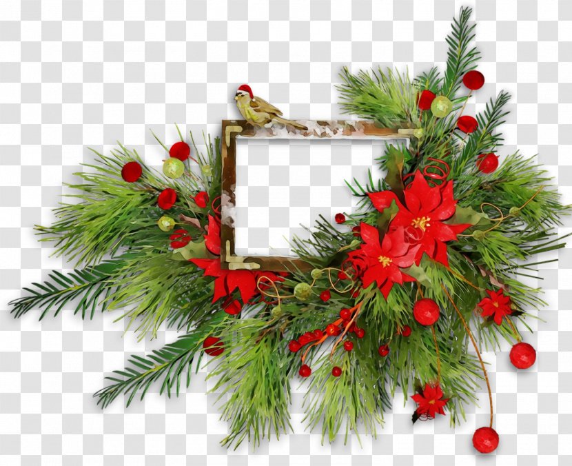Christmas Decoration - Conifer - Pine Transparent PNG