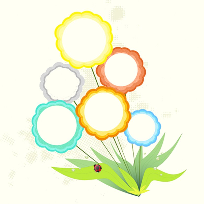 Floral Design Flower Infographic - Cdr Transparent PNG