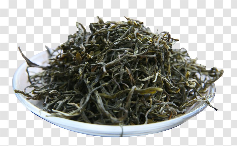 Xinyang Maojian Tea Dianhong Nilgiri Golden Monkey - Sencha - The Bulk Of In Dish Transparent PNG