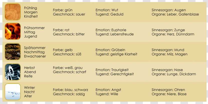 Wu Xing Classical Element Ernährung Nach Den 5 Elementen Chemical Human Nutrition - Yin And Yang Transparent PNG