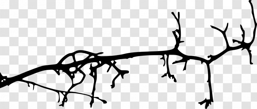 Branch Tree Silhouette - Black And White Transparent PNG