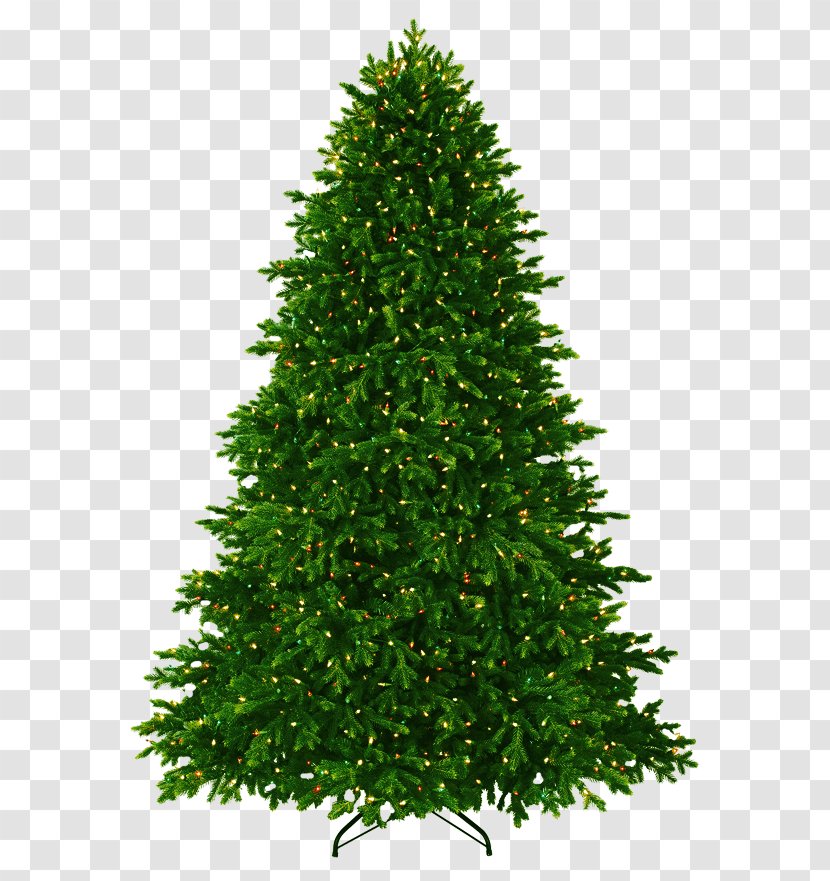Christmas Tree With Lights - Decoration - Pine Transparent PNG
