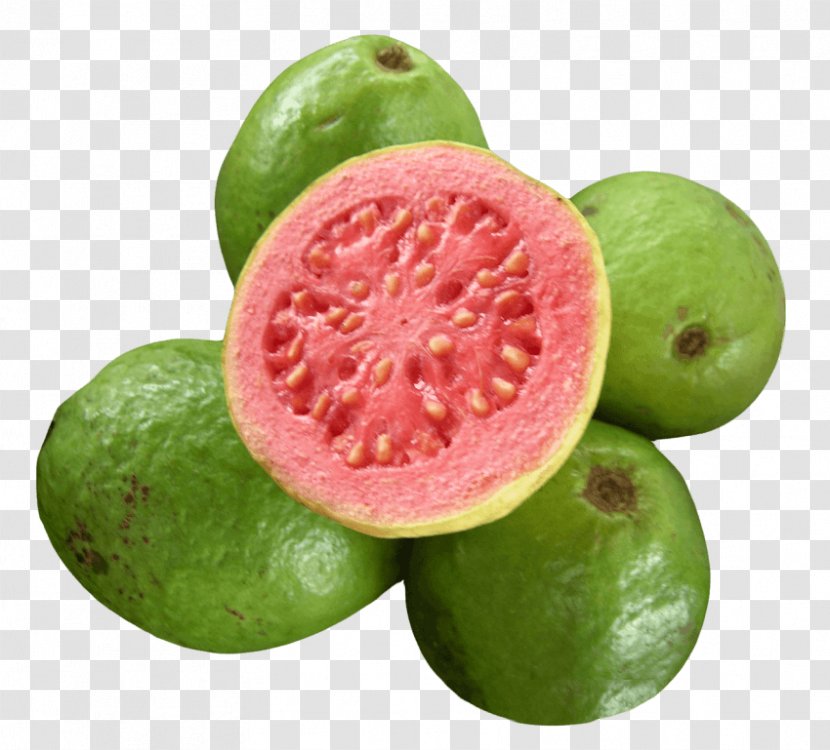 Common Guava Tropical Fruit Juice - Grapefruit - Tree Transparent PNG