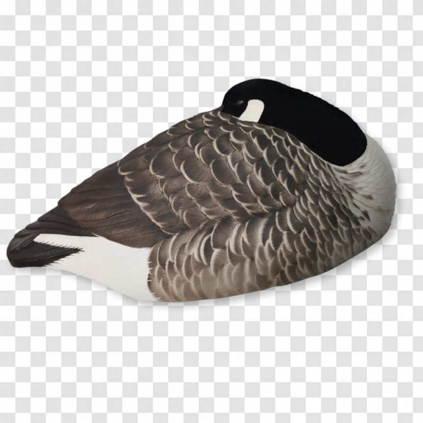 Greylag Goose Duck Mallard Canada Transparent PNG