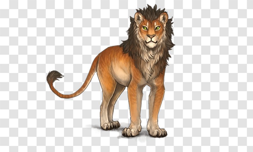 Lion Roar Big Cat Cougar Transparent PNG
