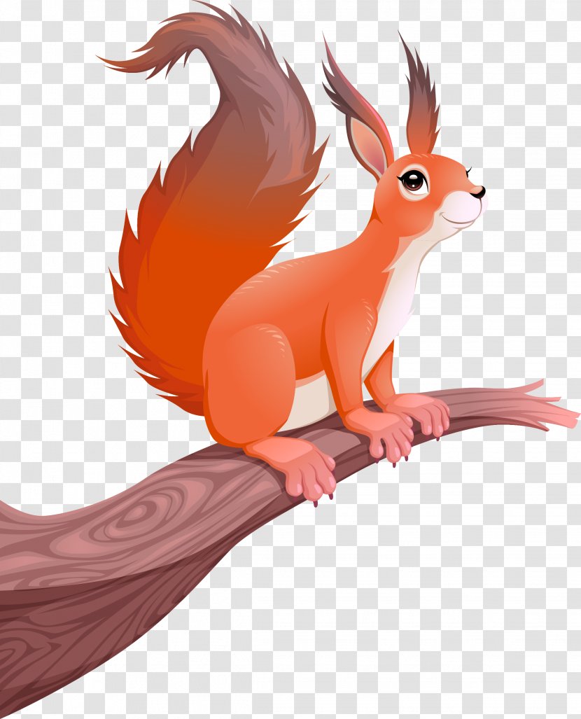 Squirrel Cartoon Photography Illustration - Mammal - Vector Hand-painted Small Squirrels Transparent PNG