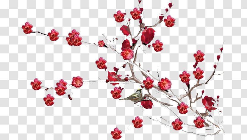 Plum Blossom Landscape Gratis - Flower Transparent PNG