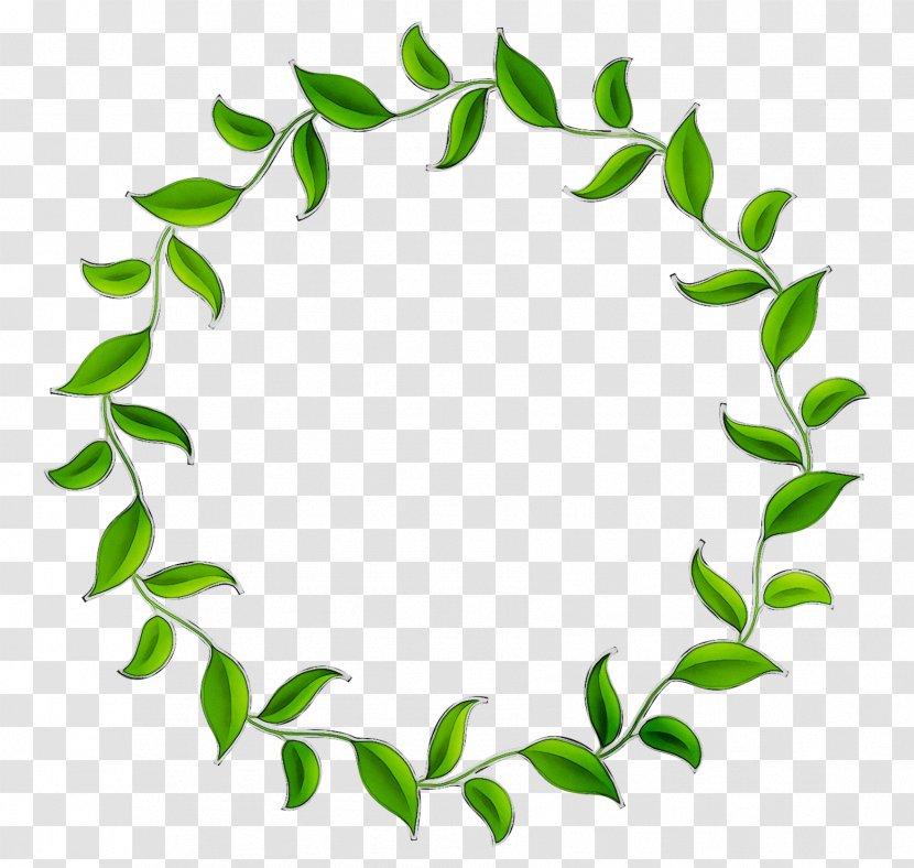 Clip Art Plant Stem Green Product Leaf Transparent PNG