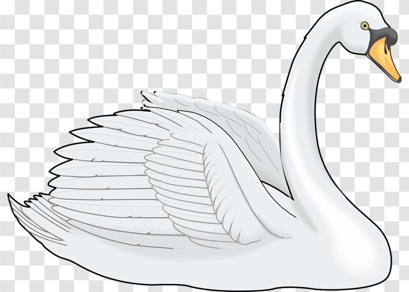 Cygnini Painting Clip Art - Ducks Geese And Swans - White Swan Transparent PNG